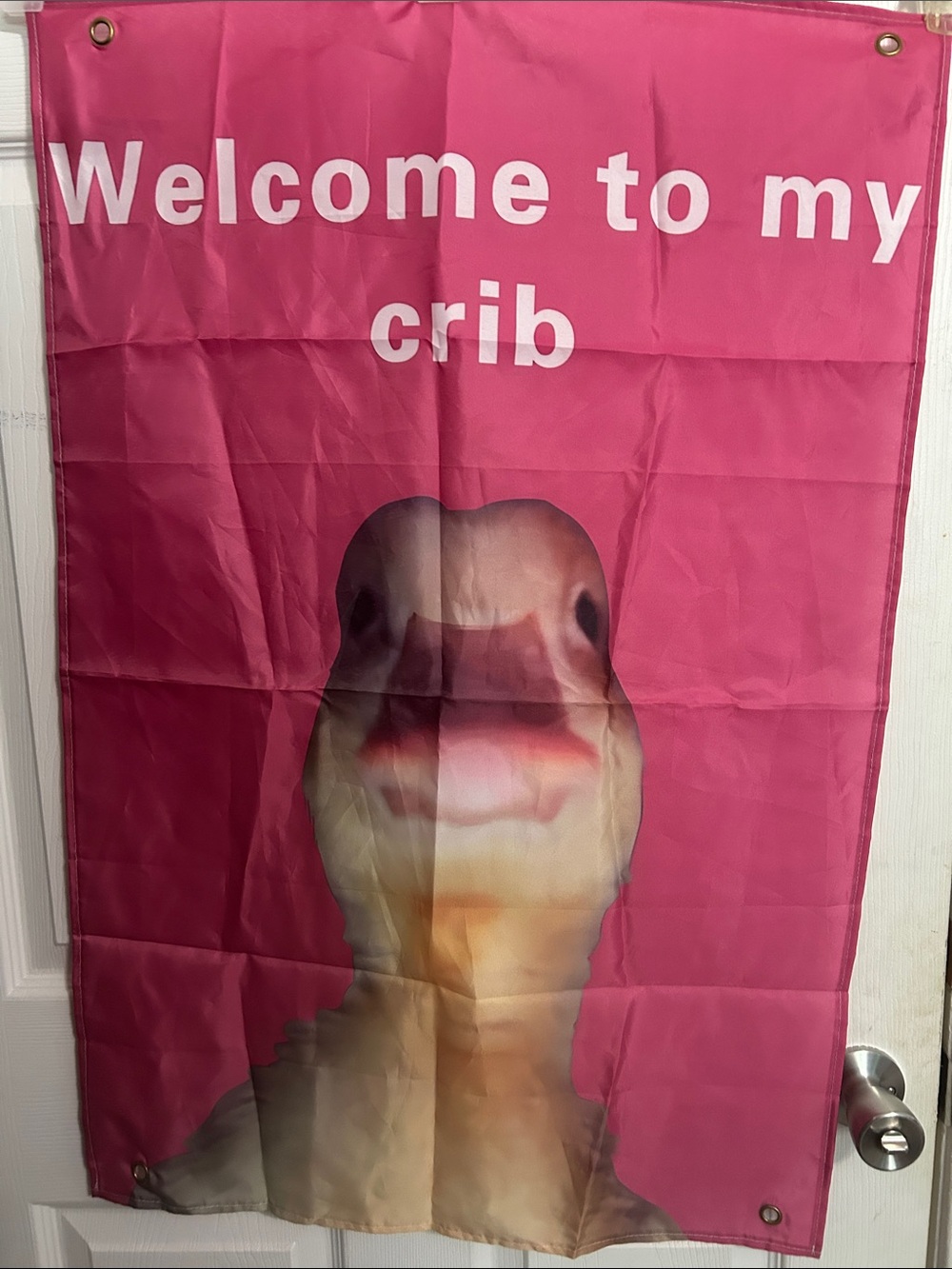 Pink "Welcome to My Crib" Duck flag - Playful  Art